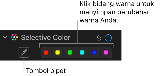 Kontrol Pilihan Warna di panel Sesuaikan, menampilkan tombol Pipet dan sumber warna.