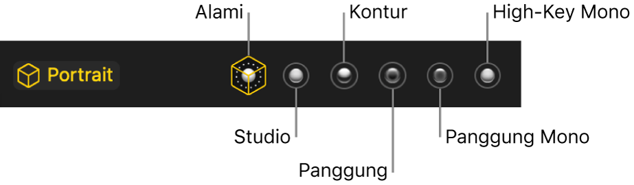 Pilihan efek pencahayaan mode potret, termasuk (dari kiri ke kanan) Alami, Studio, Kontur, Panggung, Panggung Mono, High-Key Mono.