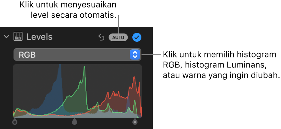 Kontrol Level di panel Sesuaikan, dengan dan tombol Otomatis di kanan atas serta histogram RGB di bawah.