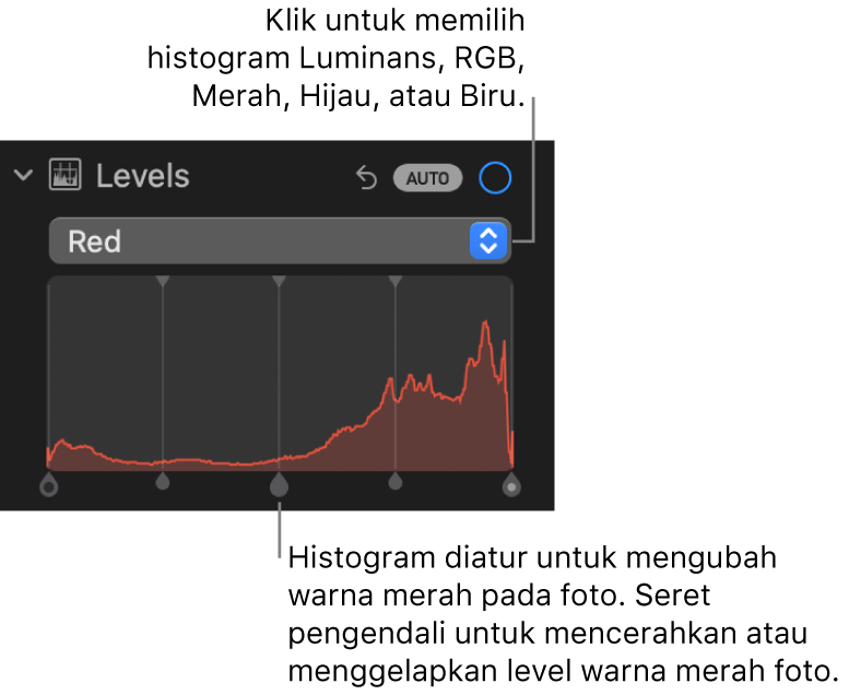 Kontrol Level di panel Sesuaikan, menampilkan histogram Merah dengan pengendali di bawah untuk menyesuaikan level merah foto.