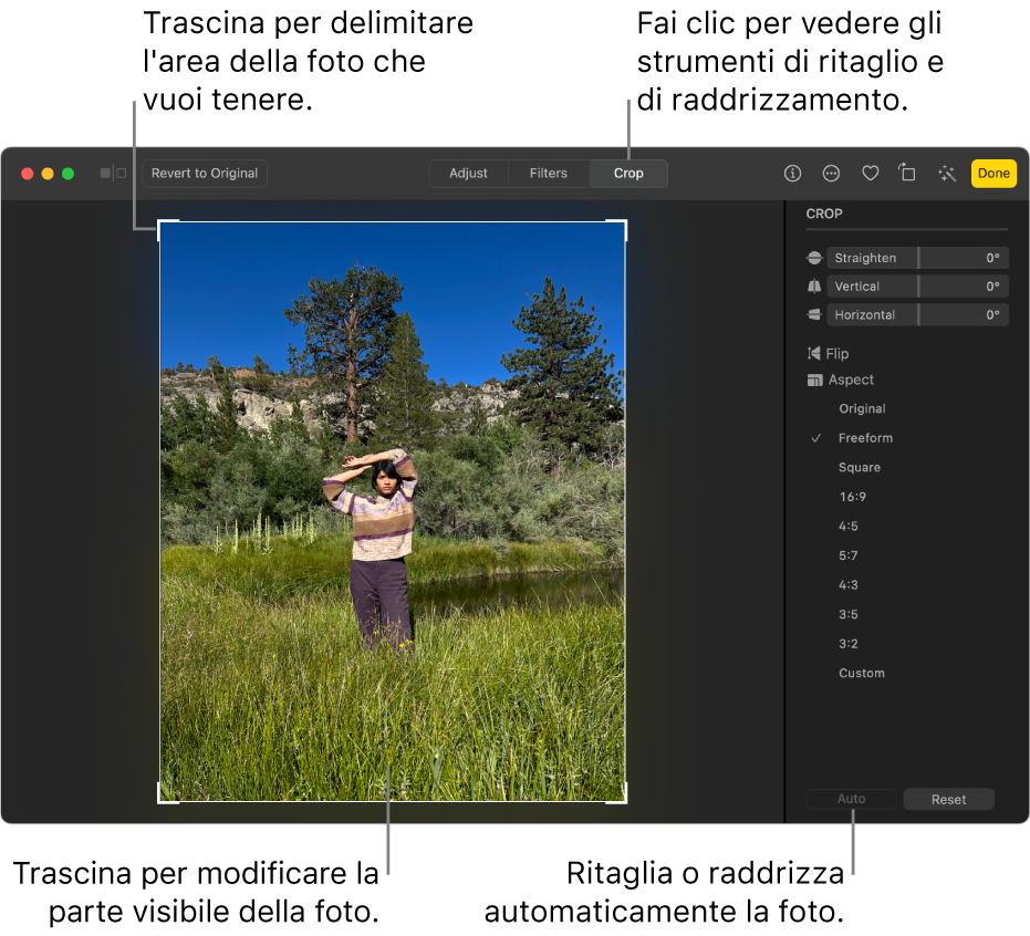 Una foto nella vista di modifica, con l’opzione Ritaglia selezione nella barra strumenti, un rettangolo di selezione attorno alla foto e i cursori di raddrizzamento, le opzioni delle proporzioni e i pulsanti Automatico e Ripristina a destra.