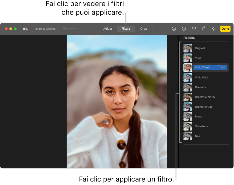 La foto nella vista di modifica, con l’opzione Filtri selezionata nella barra strumenti e le opzioni per i filtri sulla destra.