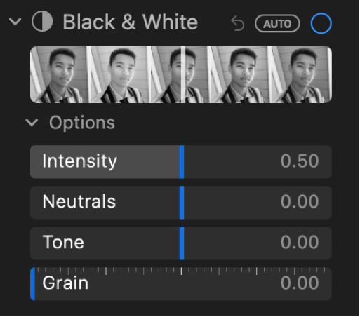 「調整」パネルの「白黒」領域。「強度」、「中間」、「階調」、および「グレイン」のスライダが表示されています。
