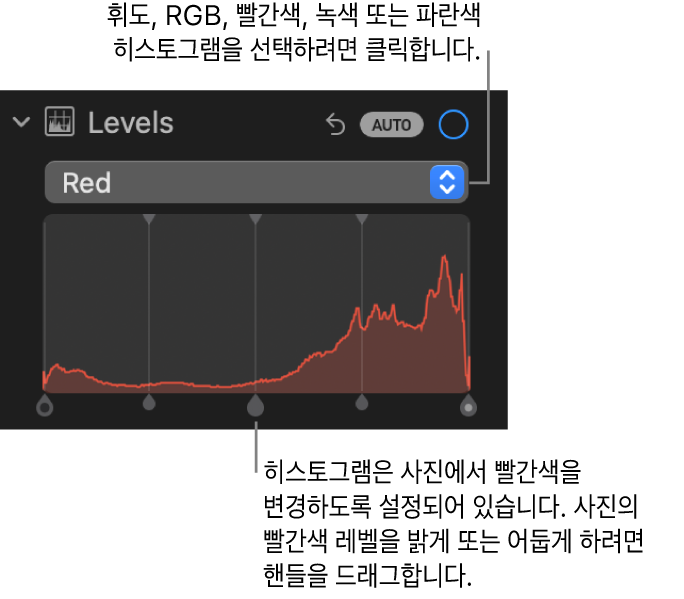 사진의 빨간색 레벨을 조절하기 위한 빨간색 히스토그램과 아래 핸들을 보여주는 조절 패널의 레벨 제어기.
