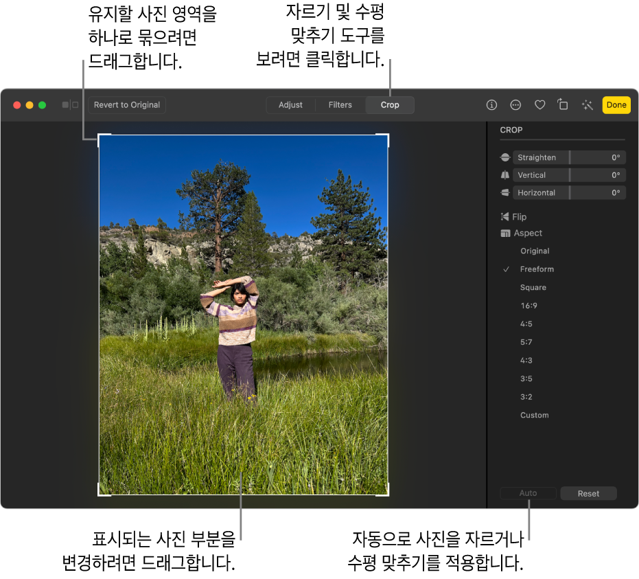 도구 막대에 자르기가 선택되어 있고, 선택 부분을 지정하는 사진 주위의 직사각형, 수평 맞추기 슬라이더, 영상비 옵션, 그리고 오른쪽에 자동 및 재설정 버튼이 있는 편집 보기 상태의 사진.