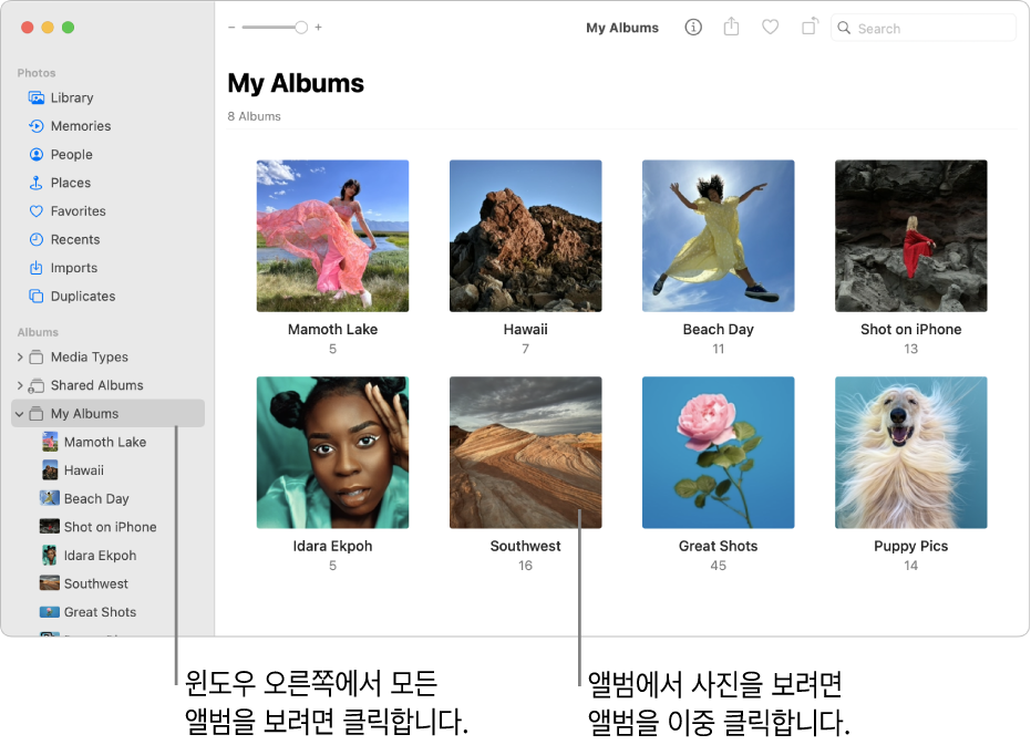 사이드바에 ‘나의 앨범’이 선택되어 있고 오른쪽에 앨범이 표시된 사진 앱 윈도우.