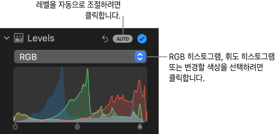 오른쪽 상단에 자동 버튼과 아래에 RGB 히스토그램이 표시된 조절 패널의 레벨 제어기.