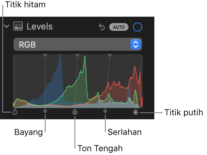 Kawalan Aras dalam anak tetingkap Laras, menunjukkan histogram RGB dengan pemegang di bawah, termasuk (dari kiri ke kanan) titik hitam, bayang, ton tengah, serlahan dan titik putih.