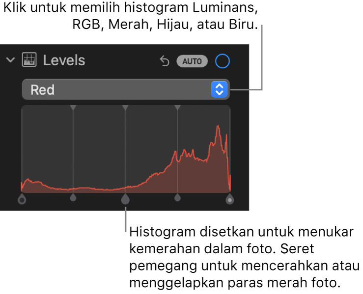 Kawalan Aras dalam anak tetingkap Laras, menunjukkan histogram Merah dengan pemegang di bawah untuk melaraskan paras merah foto.