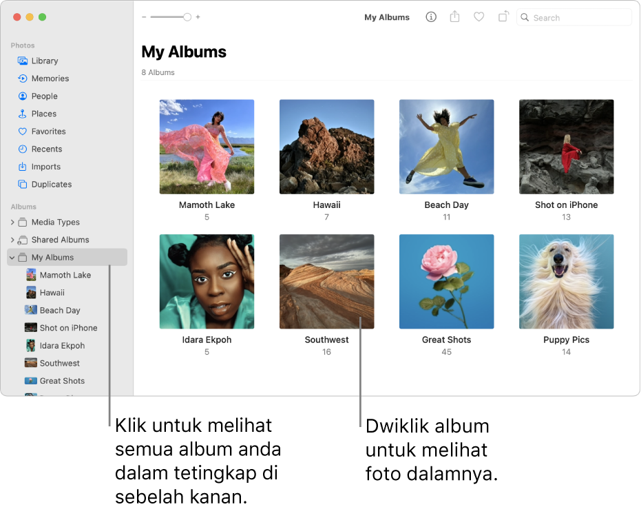 Tetingkap foto dengan Album Saya dipilih dalam bar sisi dan album ditunjukkan di sebelah kanan.