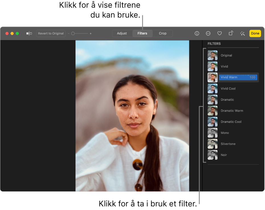 Et bilde i redigeringsvisning, med Filtre markert i verktøylinjen og filtervalg til høyre.