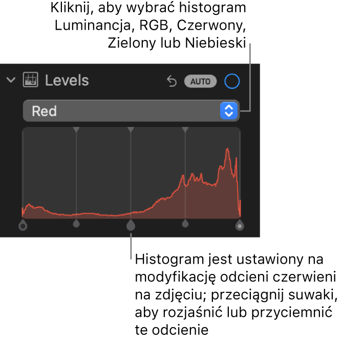 Narzędzia pod etykietą Poziomy w panelu Korekta. Widoczny jest histogram koloru czerwonego ze znajdującymi się pod nim uchwytami do regulacji poziomów czerwieni na zdjęciu.