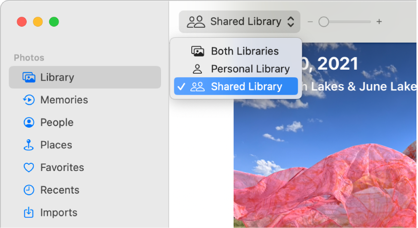 Na barra de ferramentas, o menu pop-up Fototeca é definido para Fototeca partilhada.