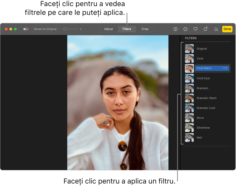 Poza în vizualizarea de editare, cu butonul Filtre selectat în bara de instrumente și opțiunile de filtrare în dreapta.