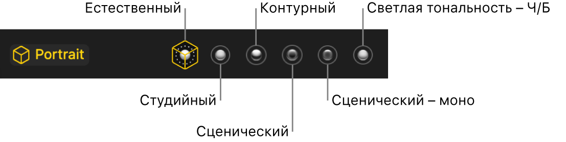 Выбор световых эффектов для портрета, включая (показаны слева направо): Естественный, Студийный, Контурный, Сценический, Сценический – моно и Светлая тональность – Ч/Б.