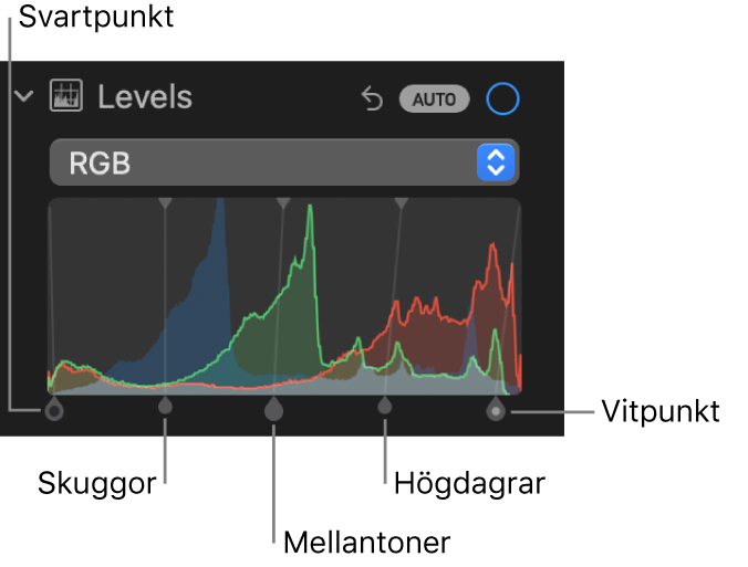 Nivåreglagen på panelen Justera med RGB-histogrammet och handtag nedanför med (från vänster till höger) svartpunkt, skuggor, mellantoner, högdagrar och vitpunkt.