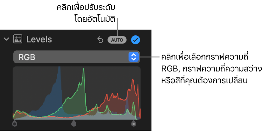 ตัวควบคุมระดับในบานหน้าต่างการปรับที่มีปุ่มอัตโนมัติที่ด้านขวาบนสุดและฮิสโตแกรม RGB ด้านล่าง