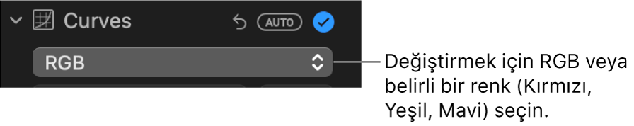 Açılır menüde RGB seçiliyken görülen Ayarla bölümündeki Eğriler denetimleri.
