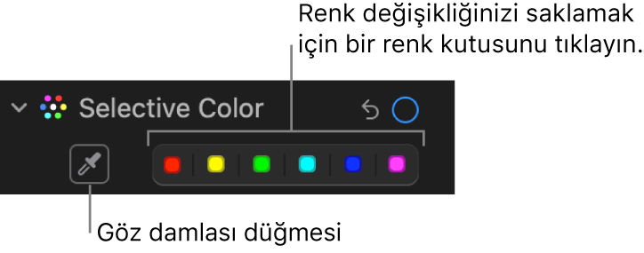 Damlalık düğmesinin ve renk kutularının gösterildiği Ayarla bölümündeki Seçmeli Renk denetimleri.