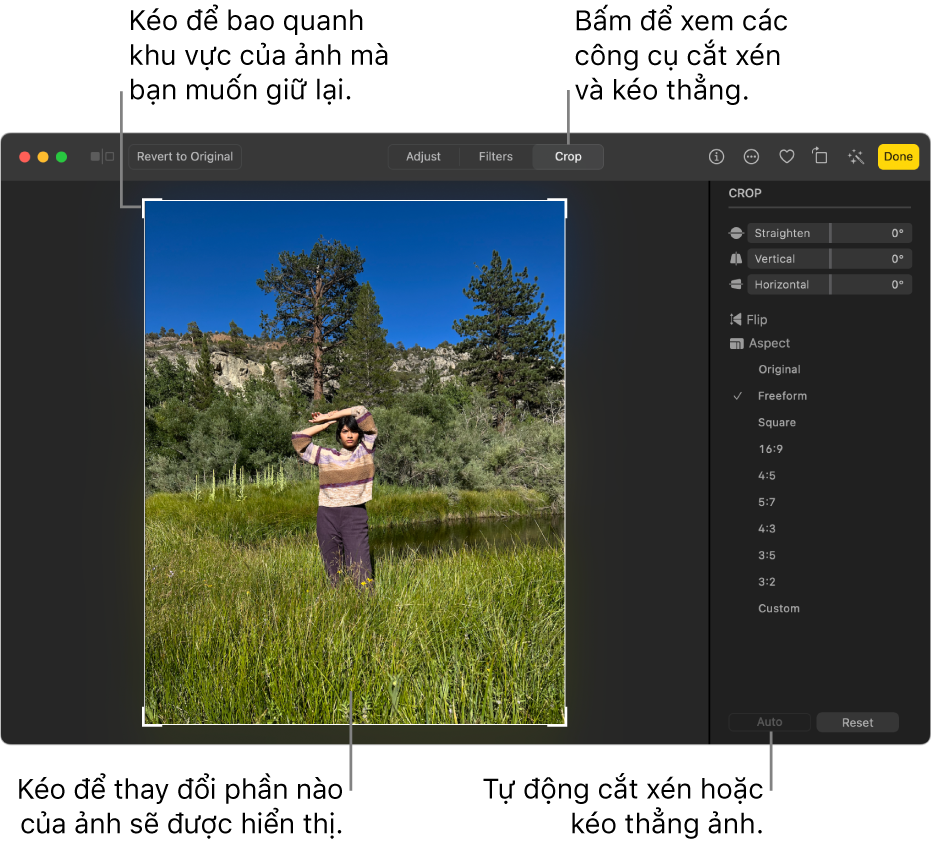 Một ảnh ở chế độ sửa, với Cắt xén được chọn trong thanh công cụ, hình chữ nhật chọn quanh ảnh và thanh trượt nắn thẳng, tùy chọn tỷ lệ khung hình và các nút Tự động và Đặt lại ở bên phải.