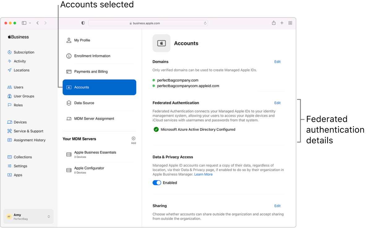 The Apple Business Essentials window with Settings selected in the sidebar. The Accounts pane shows a signed-in user with federated authentication turned on.