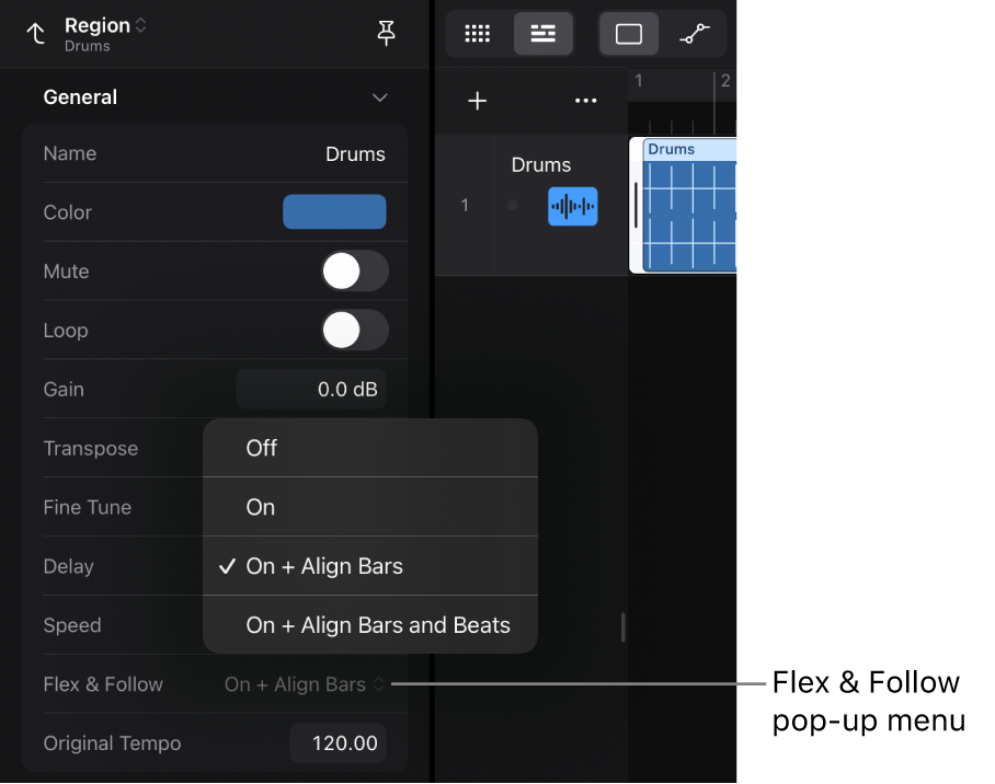 Figure. Region inspector showing the Flex & Follow popup-menu in the Region inspector.