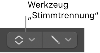 Abbildung. Werkzeug „Stimmtrennung“