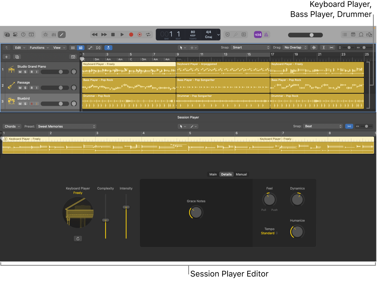 Figure. The Session Players in the Tracks area and Session Player Editor.