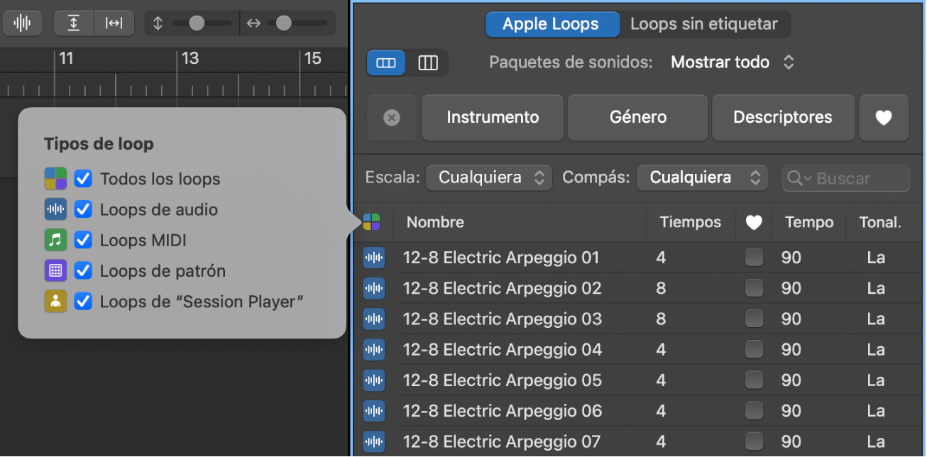 Explorador de loops con el botón “Tipos de loop” y opciones.