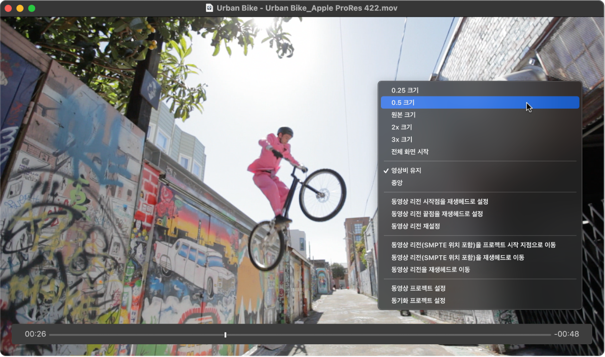 그림. 단축 메뉴에서 이미지 포맷을 보여주는 동영상 윈도우.