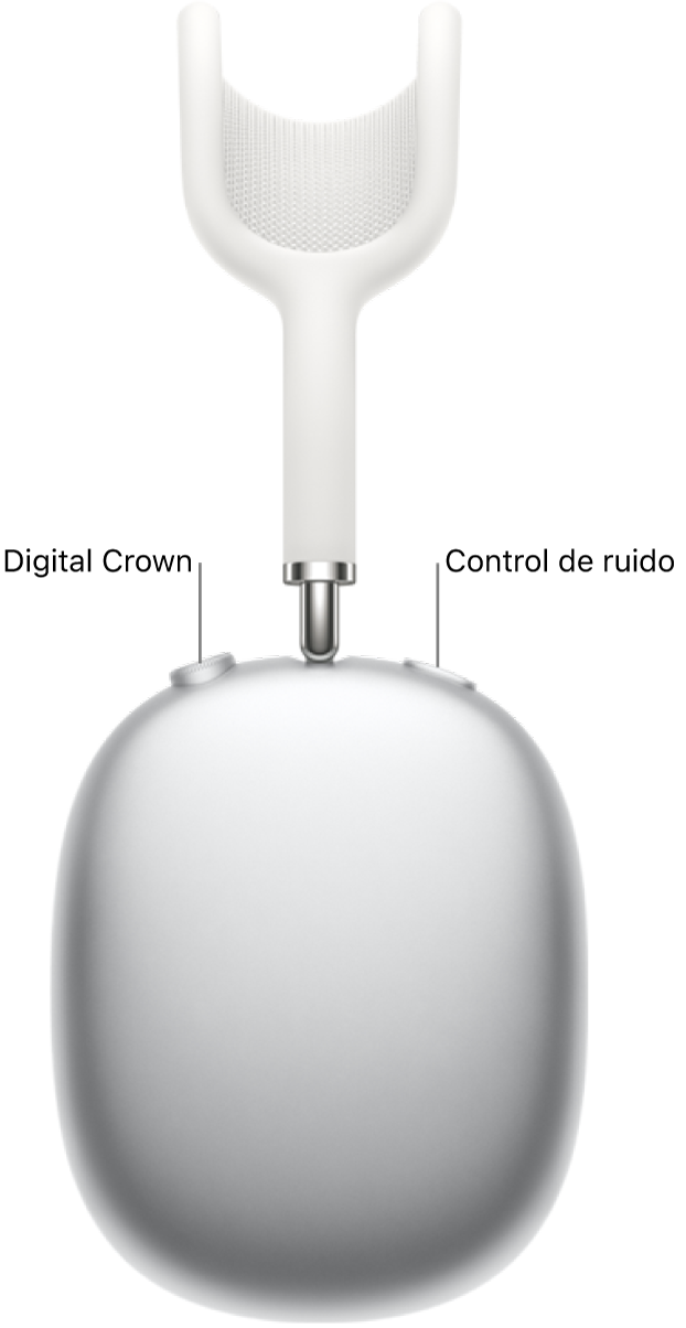 El audífono derecho de los AirPods Max mostrando la Digital Crown en la parte superior izquierda, y el botón de control de ruido en la parte superior derecha.