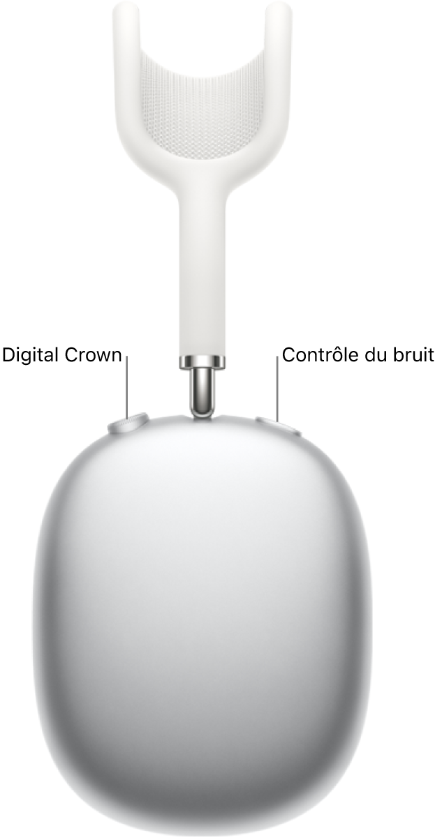 L’oreillette droite des AirPods Max, qui montre la Digital Crown en haut à gauche et le bouton de contrôle du bruit en haut à droite.
