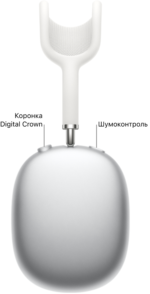 Правий навушник AirPods Max із коронкою Digital Crown угорі зліва та кнопкою «Шумоконтроль» угорі справа.