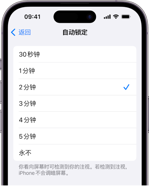 苹果手机支付哪里设置_苹果手机支付设置_iphone手机支付怎么设置