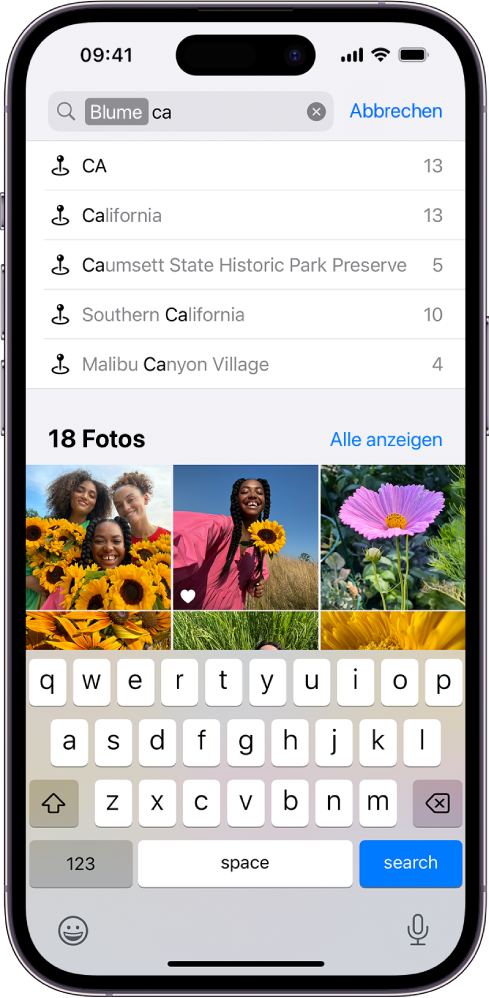 Der Suchbildschirm in der App „Fotos“. Oben auf dem Bildschirm ist das Suchfeld; darunter werden die Suchergebnisse angezeigt.