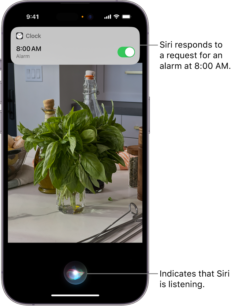 Set up security cameras in Home on iPhone - Apple Support