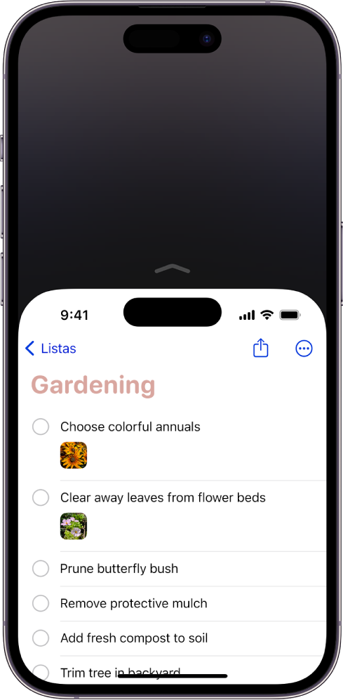 Cómo añadir y editar widgets en el iPhone - Soporte técnico de Apple (ES)