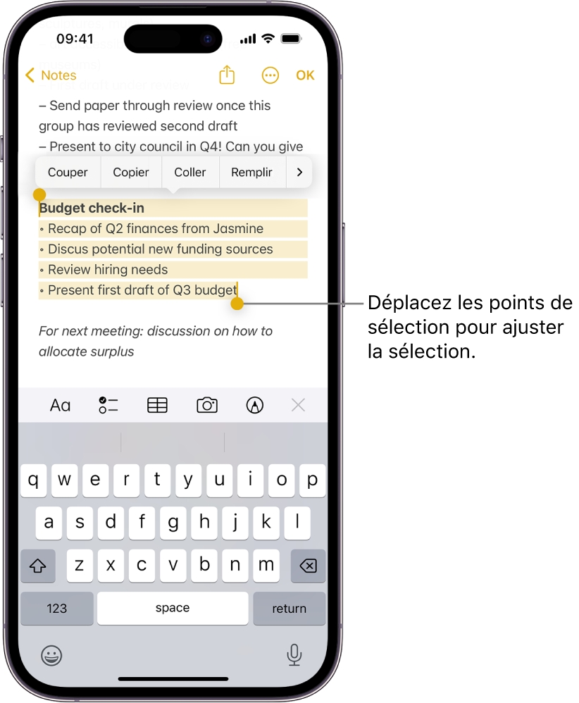 Utiliser et personnaliser le bouton Action sur l'iPhone 15 Pro et l'iPhone  15 Pro Max - Assistance Apple (FR)