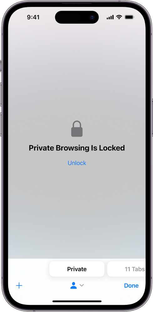 Safari ir atvērts režīmā Private Browsing. Ekrāna vidū ir vārdi Private Browsing Is Locked. Zem tiem ir poga Unlock.