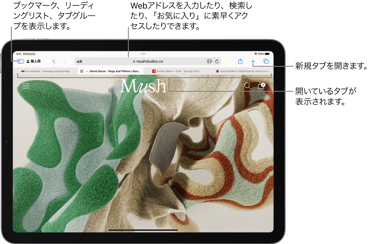 iPadでSafariを使用してWebをブラウズする - Apple サポート (日本)