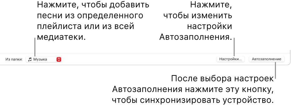Параметры автозаполнения в нижней части окна &laquo;Музыка&raquo;. У края левой стороны, во всплывающем меню &laquo;Из папки&raquo;, можно выбрать, добавлять ли песни из плейлиста или из всей медиатеки. У края правой стороны расположены две кнопки — кнопка &laquo;Настройки&raquo; для изменения параметров автозаполнения и кнопка &laquo;Автозаполнение&raquo;. При нажатии кнопки &laquo;Автозаполнение&raquo; устройство автоматически заполнится песнями, которые соответствуют параметрам.
