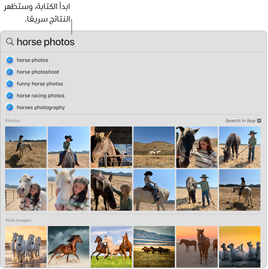 نافذة الباحث تعرض نتائج البحث عن "صور الخيول".