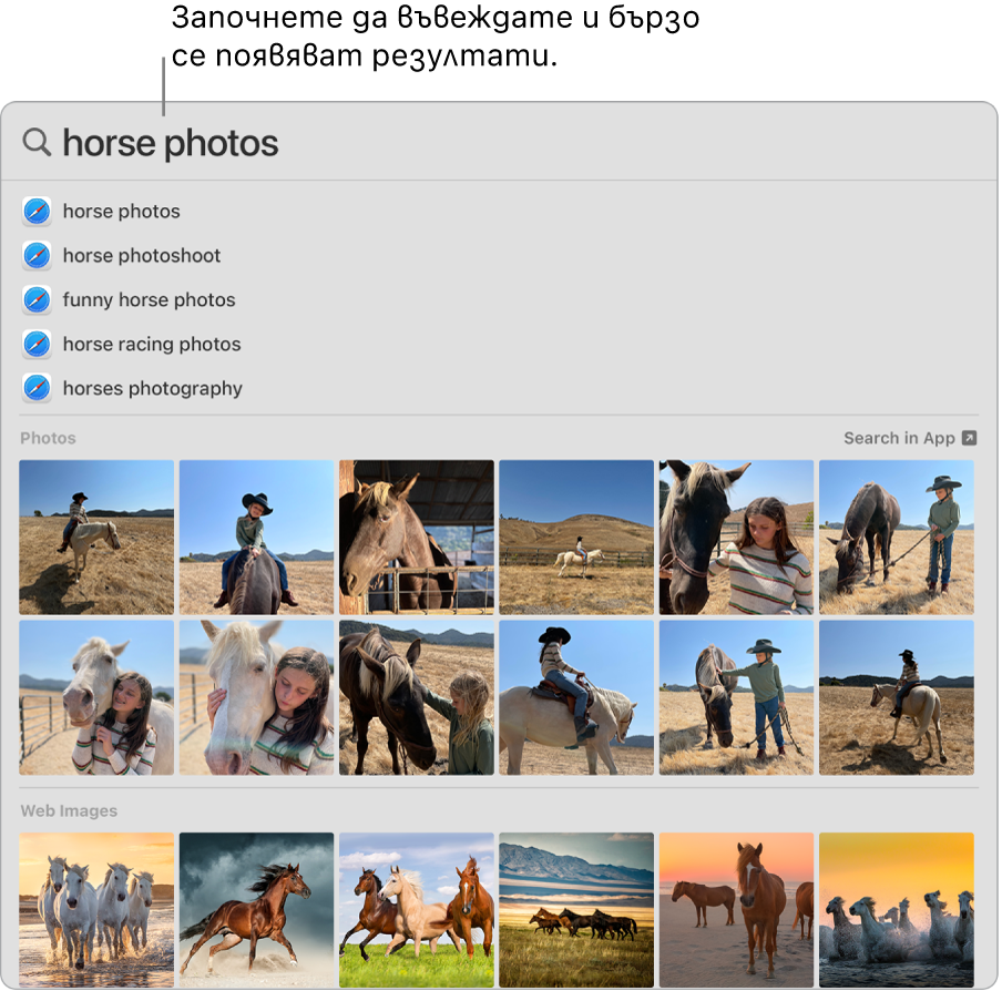 Прозорецът на Spotlight, който показва резултати от търсенето за „horse photos“ („снимки на коне“).