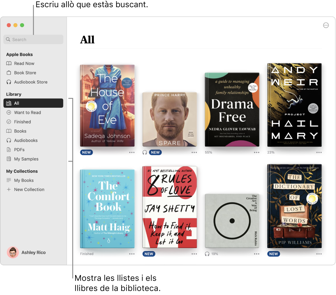 Una finestra de l’app Llibres mostrant com veure llibres, explorar contingut seleccionat i buscar.