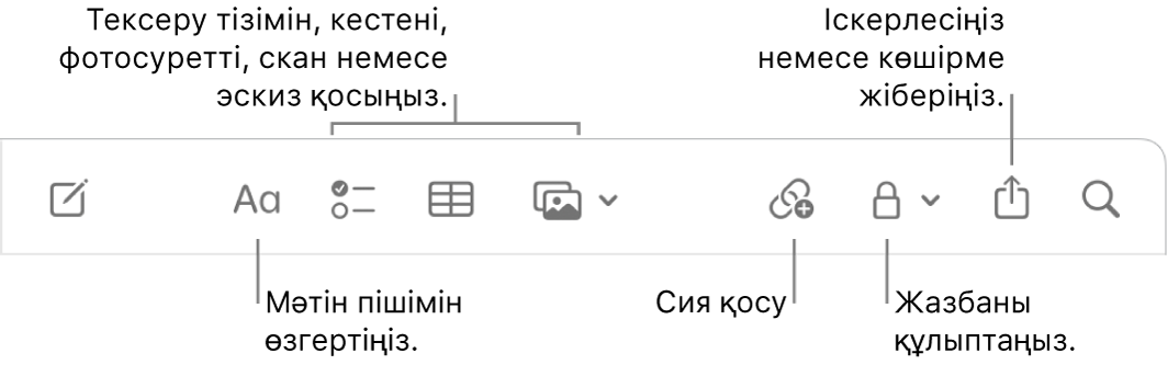 Мәтін пішіміне, тексеру тізіміне, кестеге, сілтемеге, фотосуреттерге/мультимедиаға, құлыпқа, бөлісу және көшірме жіберу құралдарына тілше деректері бар Notes құралдар тақтасы.