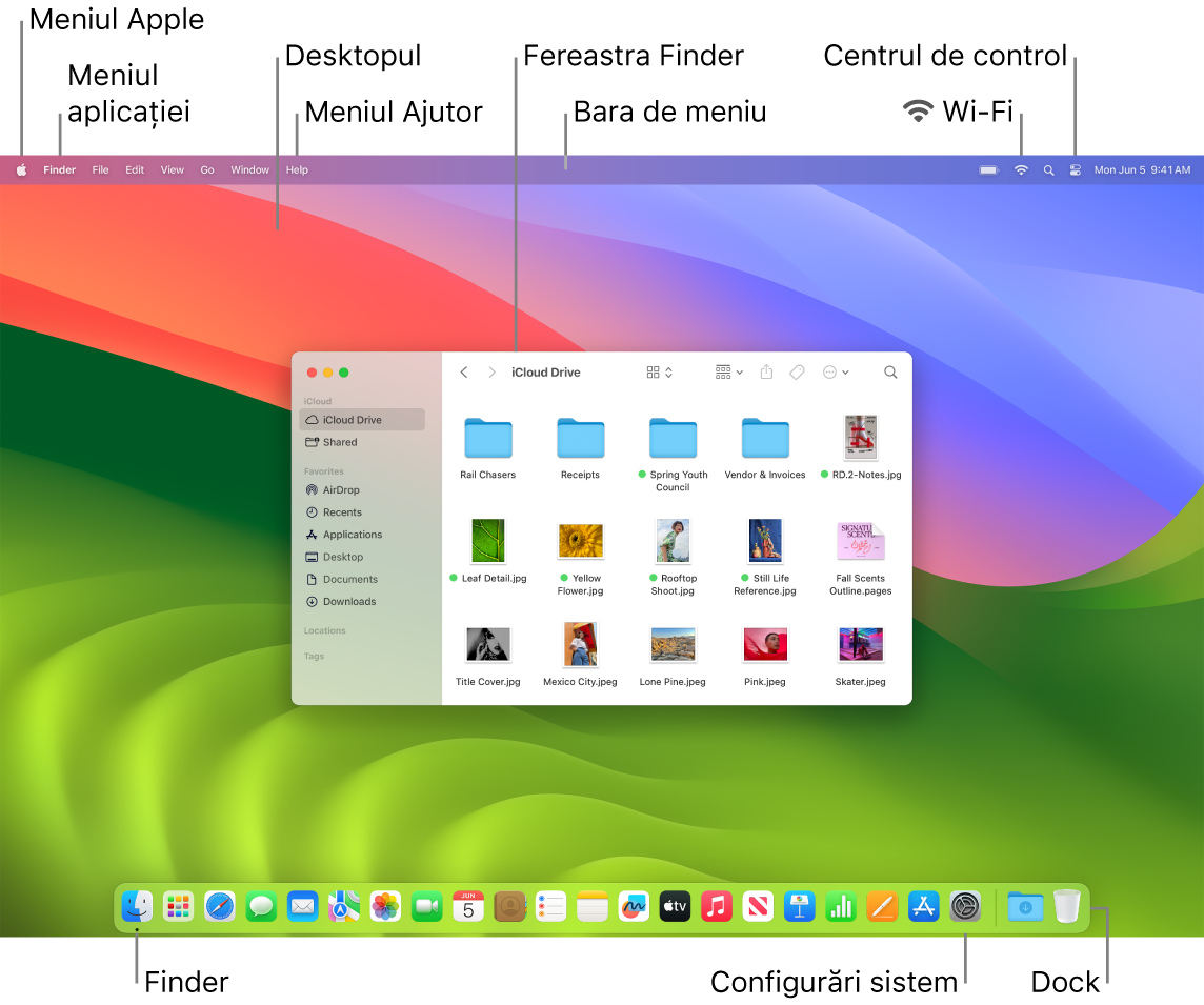 Ecranul unui Mac cu meniul Apple, meniul aplicației, desktopul, meniul Ajutor, o fereastră Finder, bara de meniu, pictograma Wi-Fi, pictograma Centru de control, pictograma Finder, pictograma Configurări sistem și Dock-ul.