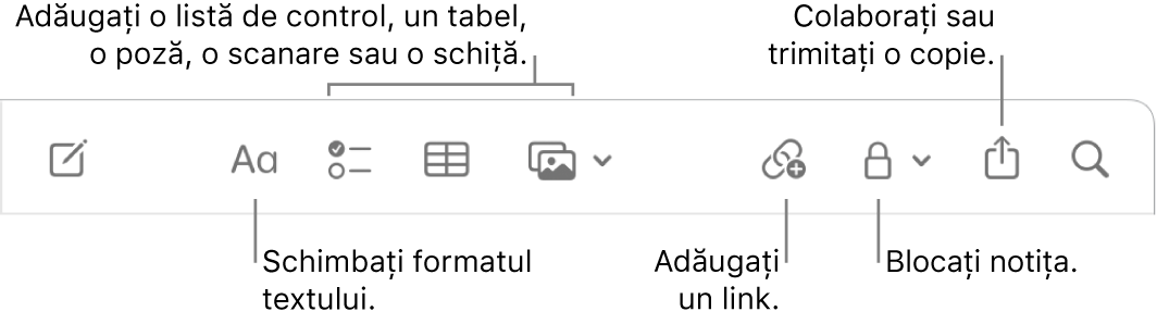 Bara de instrumente Notițe, cu explicații pentru formatarea textului, listă de control, tabel, link, poze/conținut multimedia, blocare, partajare și instrumentele pentru trimiterea unei copii.