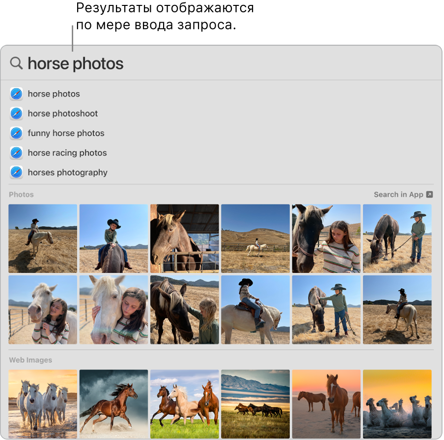 Окно Spotlight, в котором показаны результаты поиска «фото лошадей».