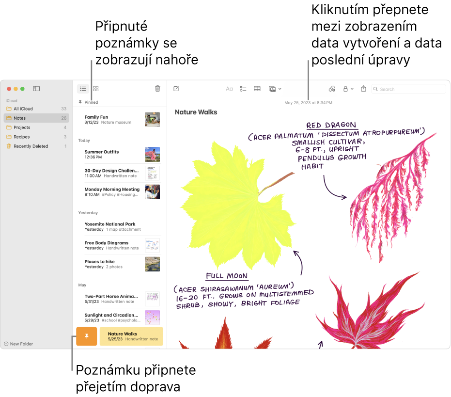 Okno Poznámky se seznamem poznámek nalevo, připnutými poznámkami na začátku seznamu a tlačítkem Přišpendlit u jedné z poznámek. Vpravo se zobrazuje obsah této poznámky s datem nahoře. Kliknutím na datum můžete přepínat mezi datem vytvoření a datem poslední změny.
