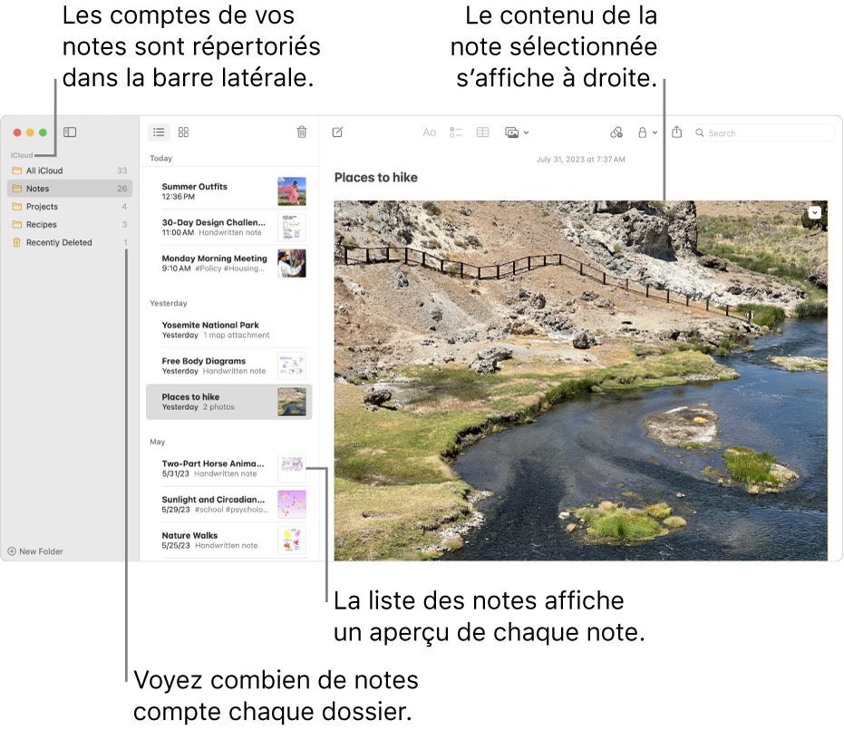 La fenêtre Notes avec tous vos comptes configurés et dossiers répertoriés dans la barre latérale sur la gauche, la liste des notes au milieu avec un aperçu de chaque note et le contenu de la note sélectionnée sur la droite. Le nombre de notes s’affiche à côté de chaque dossier.